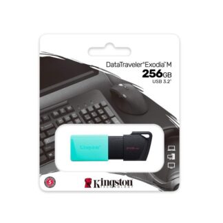 Chiavetta USB Kingston 256gb